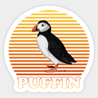 Puffin Bird Watching Birding Ornithologist Gift Sticker